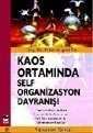 Kaos Ortamında Self Organizasyon Davranışı - 1