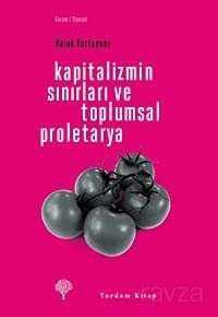 Kapitalizmin Sınırları ve Toplumsal Proletarya - Yordam Kitap