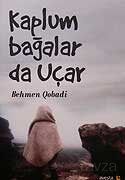 Kaplumbağalar da Uçar - 1