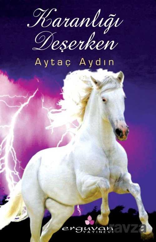 Karanlığı Deşerken - Erguvan Yayınevi