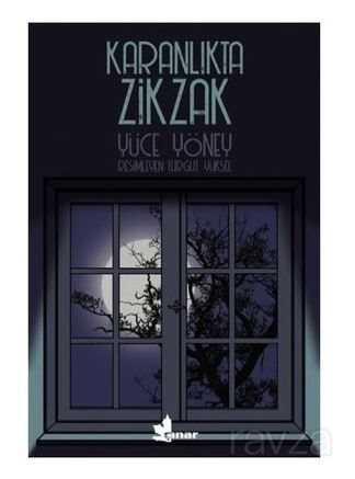 Karanlıkta Zikzak - Çınar Yayınları