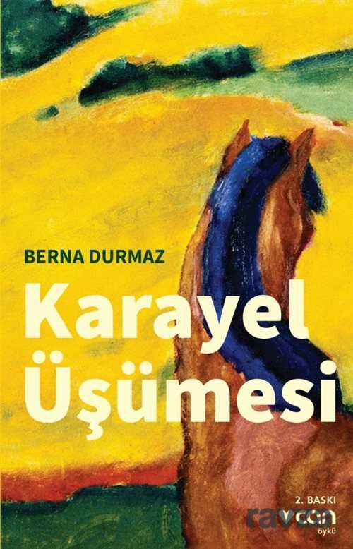 Karayel Üşümesi - Can Yayınları