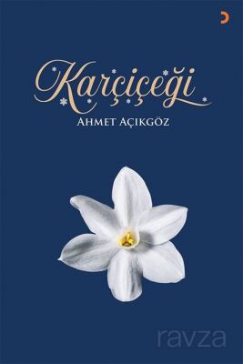 Karçiçeği - 1