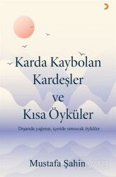Karda Kaybolan Kardeşler ve Kısa Öyküler - Cinius Yayınları