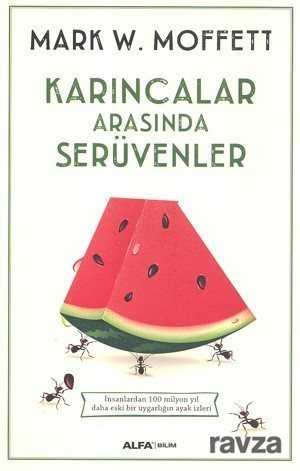 Karıncalar Arasında Serüvenler - Alfa Yayınları