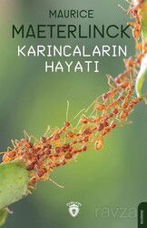 Karıncaların Hayatı - Dorlion Yayınevi