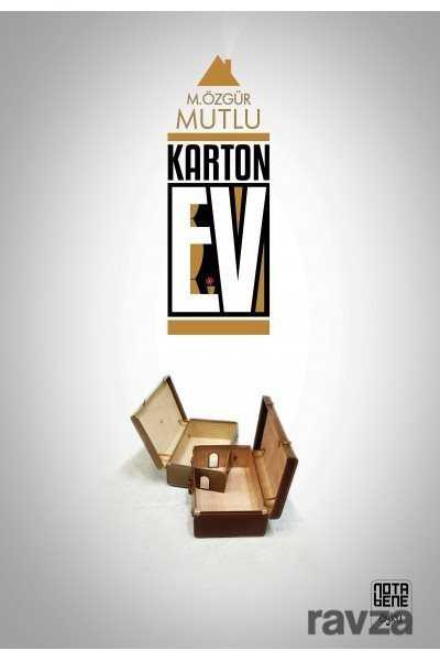 Karton Ev - 1