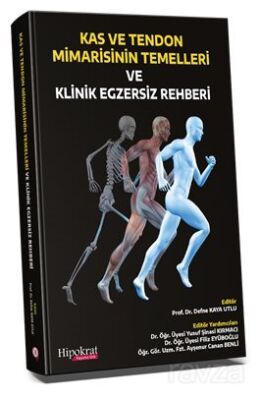 Kas ve Tendon Mimarisinin Temelleri ve Klinik Egzersiz Rehberi - 1