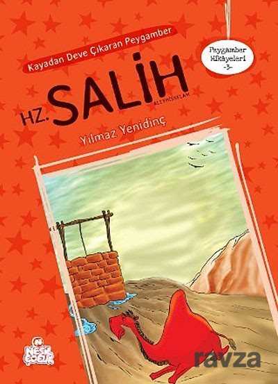Kayadan Deve Çıkaran Peygamber Hz. Salih - Nesil Çocuk Yayınları