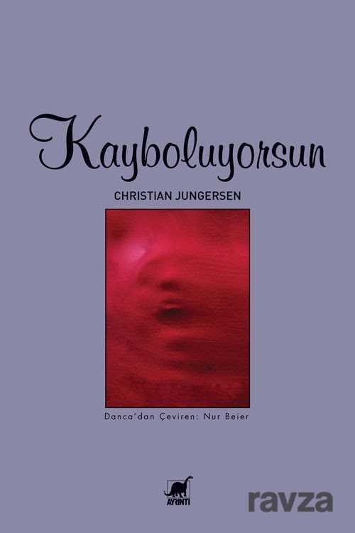 Kayboluyorsun - Ayrıntı Yayınları