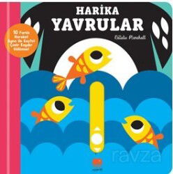 Kaydır ve Gülümse / Harika Yavrular - Uçan Fil