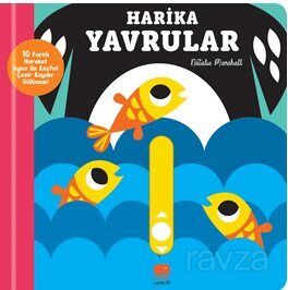 Kaydır ve Gülümse / Harika Yavrular - 1