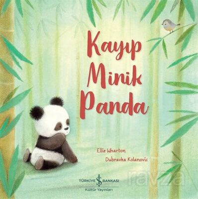 Kayıp Minik Panda - 1