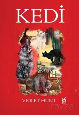 Kedi - 1