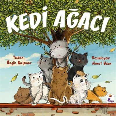 Kedi Ağacı - 1