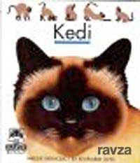 Kedi / İlk Kitaplarım Dizisi - 1