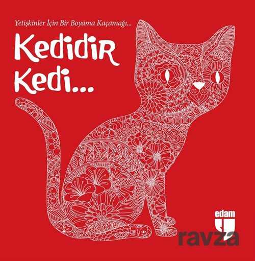 Kedidir Kedi. - Edam Yayınları