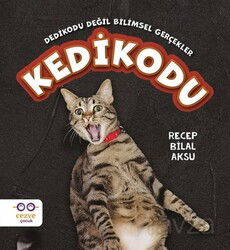 Kedikodu - Cezve Çocuk