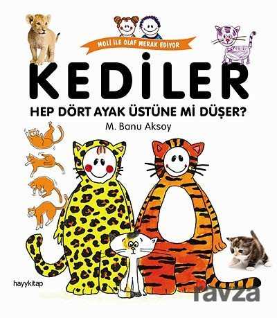 Kediler Dört Ayak Üstüne mi Düşer? - Hayy Kitap