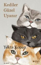 Kediler Güzel Uyanır - Can Yayınları