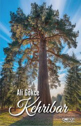 Kehribar - Gülnar Yayınları