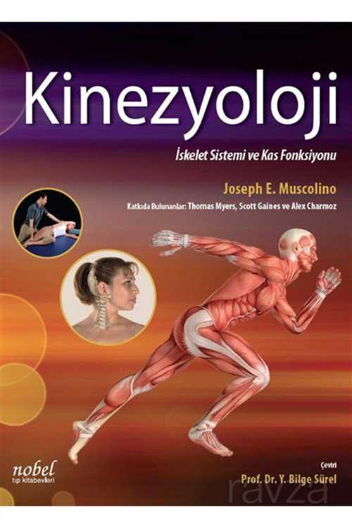 Kinezyoloji: İskelet Sistemi ve Kas Fonksiyonu - 1