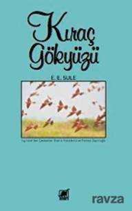 Kıraç Gökyüzü - Ayrıntı Yayınları