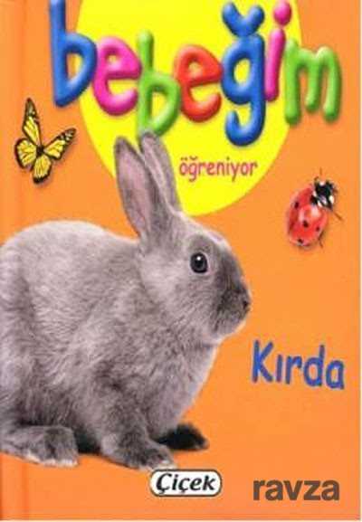 Kırda / Bebeğim Öğreniyor - Çiçek Yayıncılık