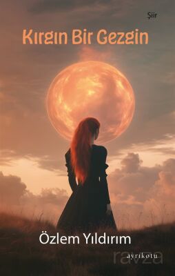 Kırgın Bir Gezgin - 1