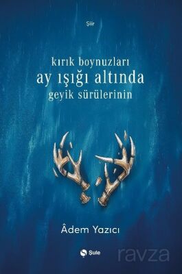 Kırık Boynuzları Ay Işığı Altında Geyik Sürülerinin - 1