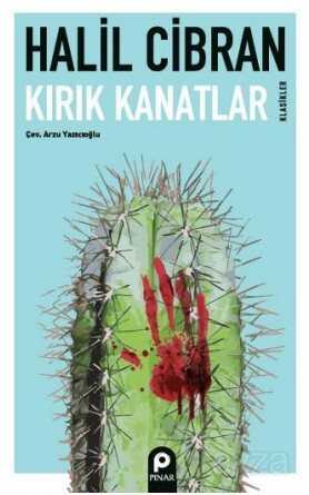 Kırık Kanatlar - Pınar Yayınları