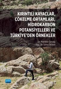 Kırıntılı Kayaçlar, Çökelme Ortamları, Hidrokarbon Potansiyelleri ve Türkiye'den Örnekler - 1