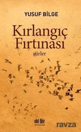 Kırlangıç Fırtınası - Akıl Fikir Yayınları