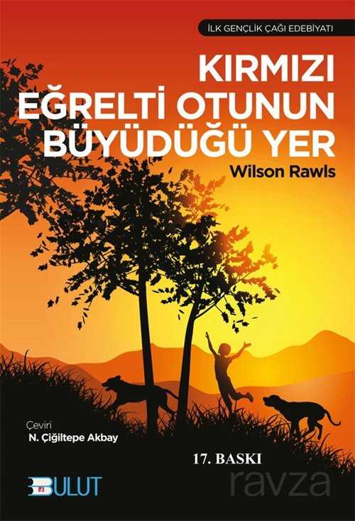 Kırmızı Eğrelti Otunun Büyüdüğü Yer - Bulut Yayınları