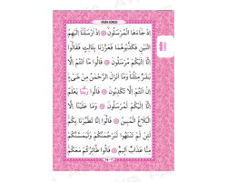 Kirmizi Özel Desen Çanta Boy 41 Yasini Serif - 3