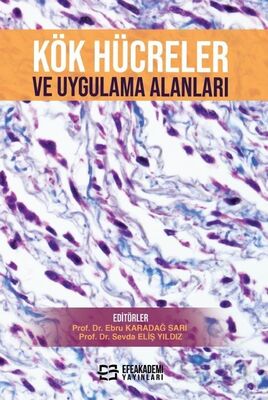 Kök Hücreler ve Uygulama Alanları - 1