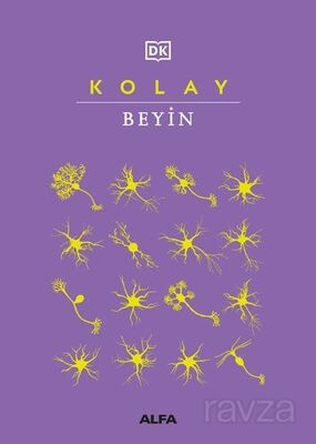 Kolay Beyin (Ciltli) - 1