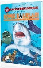 Köpek Balıkları - Bunları Tanıyorum! - Teleskop Popüler Bilim