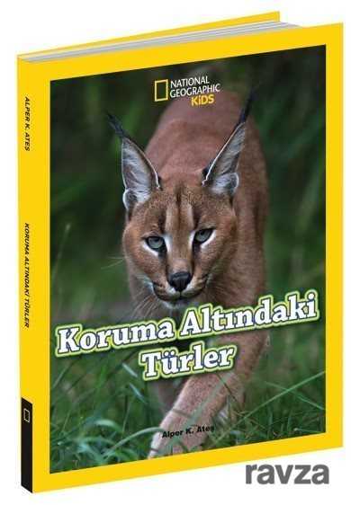 Koruma Altındaki Türler - Beta Kids