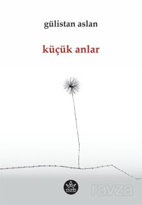 Küçük Anlar - 1