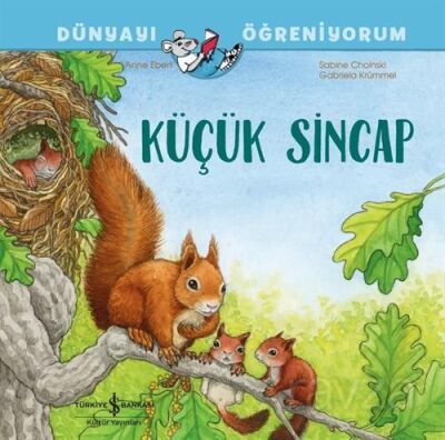 Küçük Sincap Dünyayı Öğreniyorum - 1