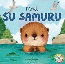 Küçük Su Samuru - 1
