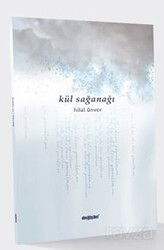 Kül Sağanağı - Değişim Yayınları