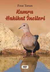 Kumru Hakikat İncileri - Tilki Kitap