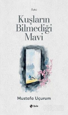 Kuşların Bilmediği Mavi - 1