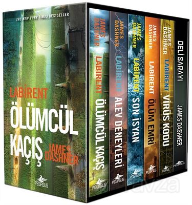 Labirent Serisi Kutulu Özel Set (6 Kitap) - 1