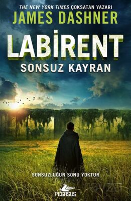 Labirent: Sonsuz Kayran - 1