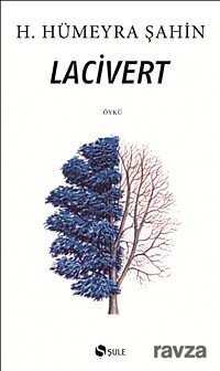 Lacivert - 1