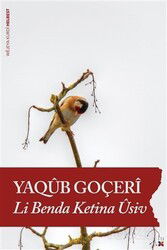 Li Benda Ketina Usiv - Lis Yayınları