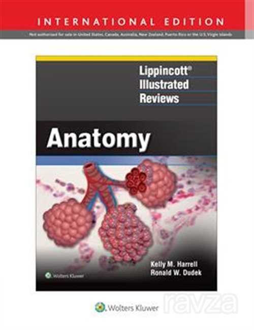 Lippincott® Illustrated Reviews: Anatomy First edition, International Edition - Nobel Tıp Kitabevleri